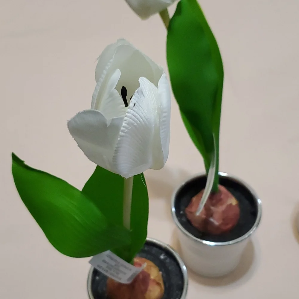 3 Faux Potted White Tulip Bulbs